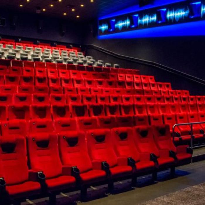 Cinematografele din Japonia s-au închis! Care este cauza