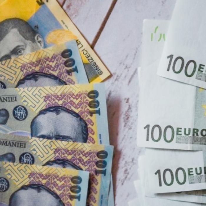 Curs valutar 31 martie. Leul s-a apreciat marţi în raport cu euro