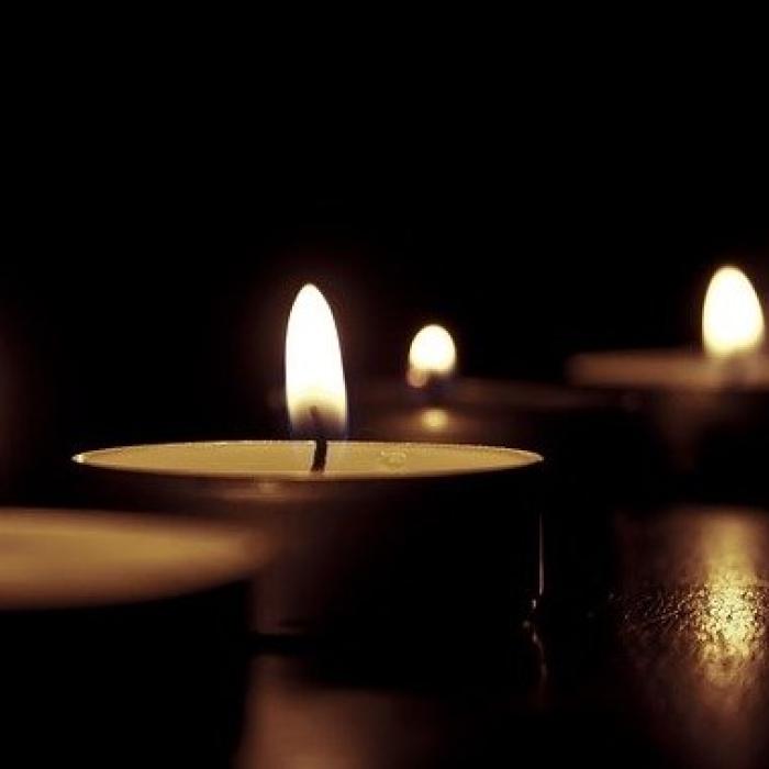 Covid-19. Sicrie de carton pentru victimele pandemiei