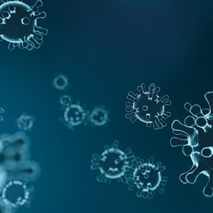 Covid-19. Când moare noul coronavirus. În ce condiții