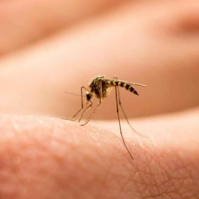 Cercetătorii: Acest microb blochează infectarea oamenilor 