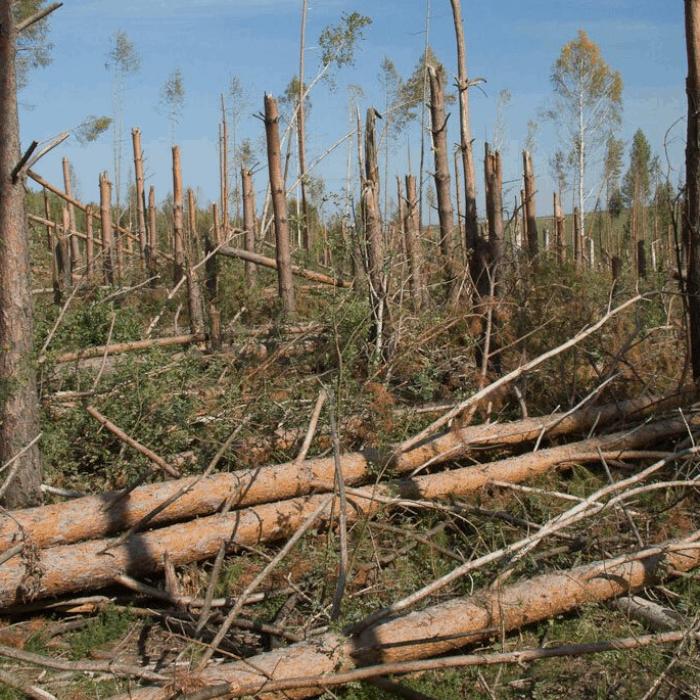 Meteoritul de la Tunguska nu a fost meteorit! Dar nici OZN