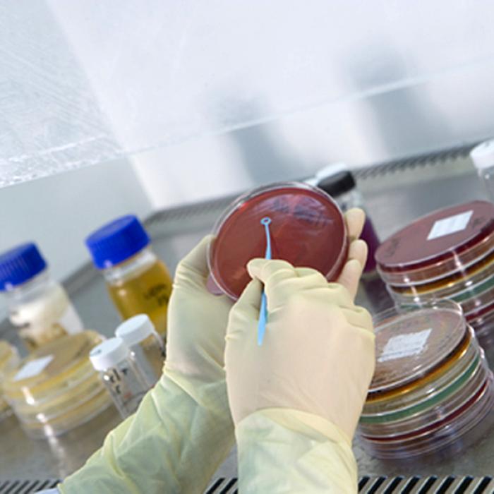 Covid-19. GlaxoSmithKline produce un miliard de doze de rapel pentru vaccin