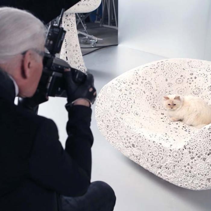 Cine moștenește averea lui Karl Lagerfeld. Pisica acestuia, printre candidați