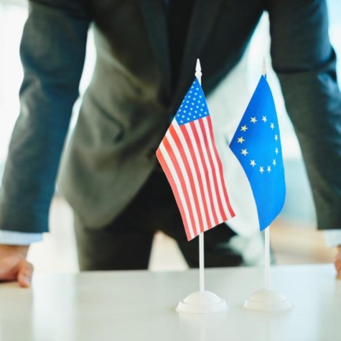 UE vrea blocarea accesului cetățenilor americani