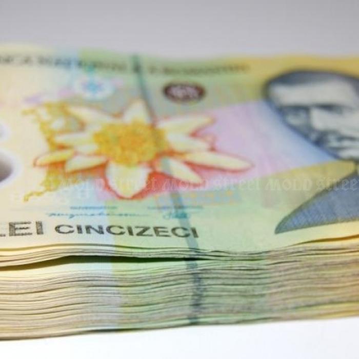 Leul s-a depreciat în raport cu valutele principale