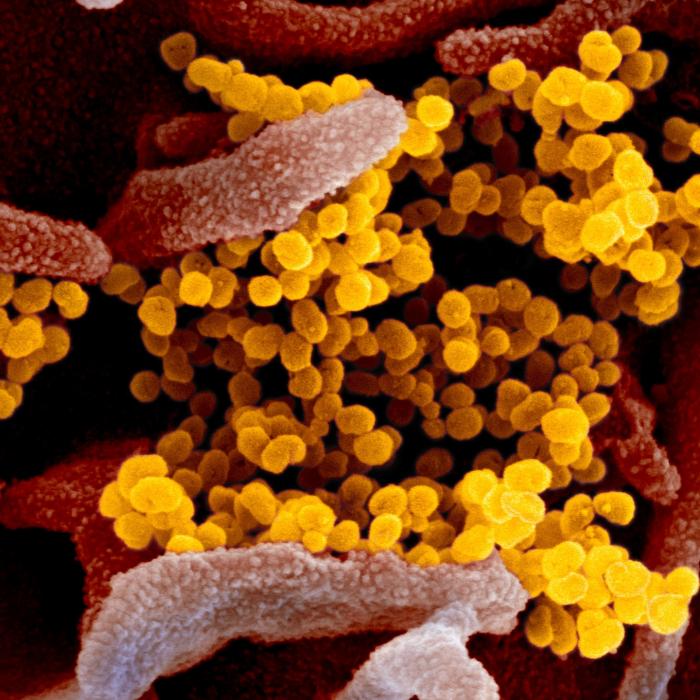 Covid-19. Vaccinul Moderna, în linie dreaptă. Ultima etapă a testărilor, începe