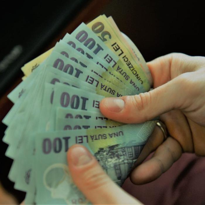 Curtea de Conturi: Prejudiciu de 4,04 milioane de lei la plățile ANPIS