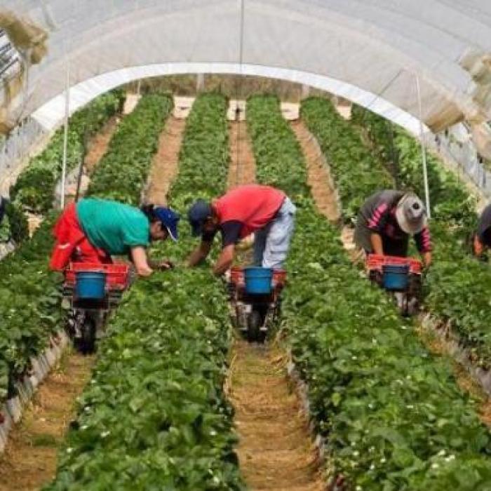 Fermierii primesc vești bune de la președinte