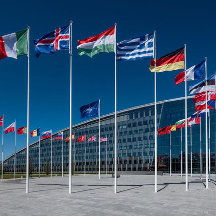 Otrăvirea lui Navalnîi, pe agenda reuniunii NATO