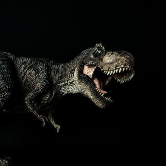Scheletul unui T-Rex a fost scos la licitație! Suma este COLOSALĂ