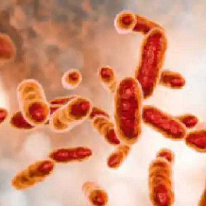 Bacterie scăpată dintr-un laborator face ravagii în China