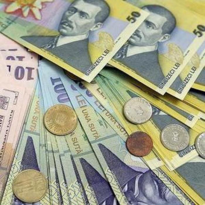 MFP: Va dura minimum 2 ani pentru ca Banca Națională de Dezvoltare să fie pusă pe picioare