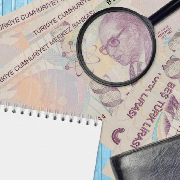 Lira turcească s-a DEPRECIAT la un nivel RECORD