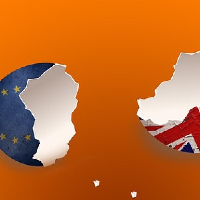 "Creierul" Brexit-ului și-a dat DEMISIA din postul de consilier al premierului Boris Johnson