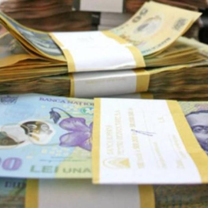 Curs valutar: LEUL s-a DEPRECIAT în raport cu EURO