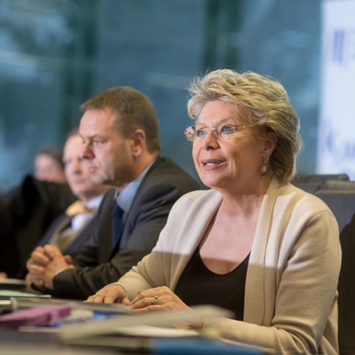 Viviane Reding: Excluderea companiilor pe baza naționalității este riscantă și nu în conformitate cu modul de acțiune european