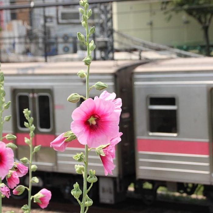 Stație supraterană pentru Magistrala M2. Contract semnat