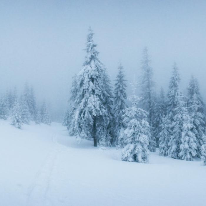 Meteo. Cod galben de vânt puternic în nouă județe