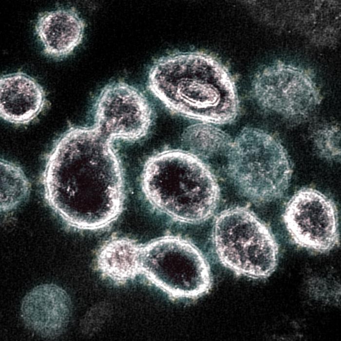 Noua tulpină a SARS-CoV-2 a ajuns și în România
