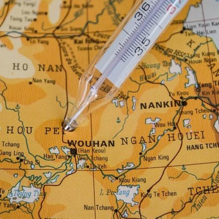 Clipa ADEVĂRULUI! Ce a aflat OMS la Wuhan. Cum a început pandemia