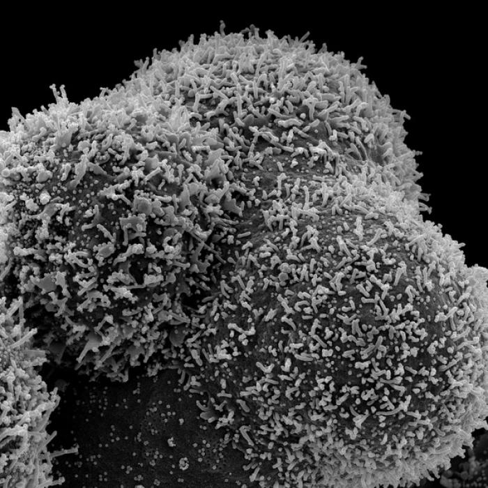 Marea Britanie sare în AJUTORUL altor țări