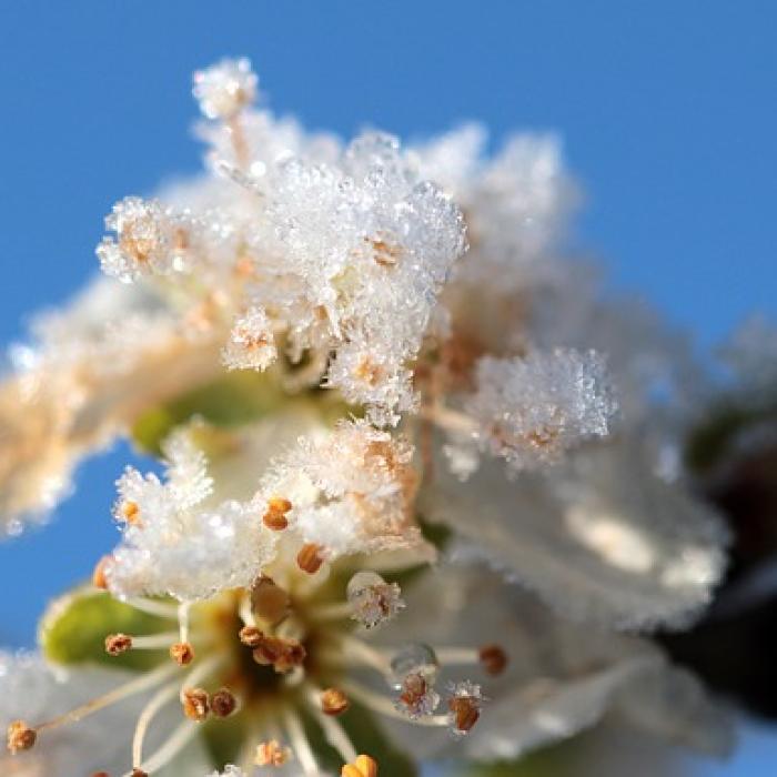Avertizare ANM. După temperaturi de PRIMĂVARĂ, vine iarna SIBERIANĂ
