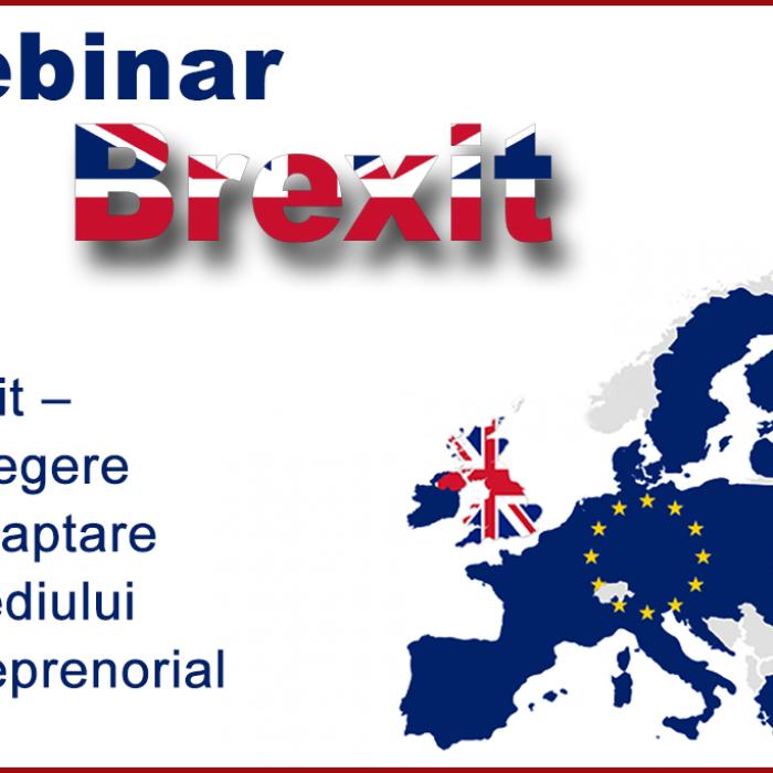 BREXIT:  Uniunea Europeană are în vedere despăgubirea companiilor afectate