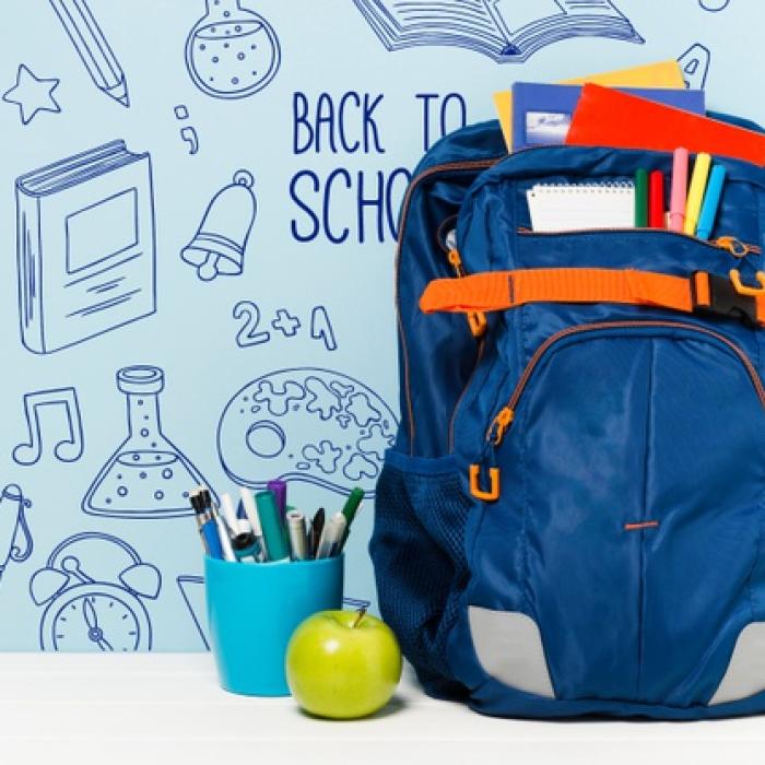 Cursurile ȘCOLARE în scenariul roșu. Anunț OFICIAL