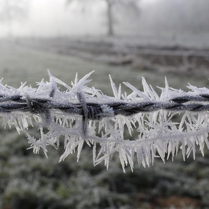 Avertizare ANM. Vreme SIBERIANĂ în București