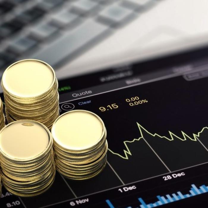 MONEDA europeană DIGITALĂ. Banca Națională este interesată