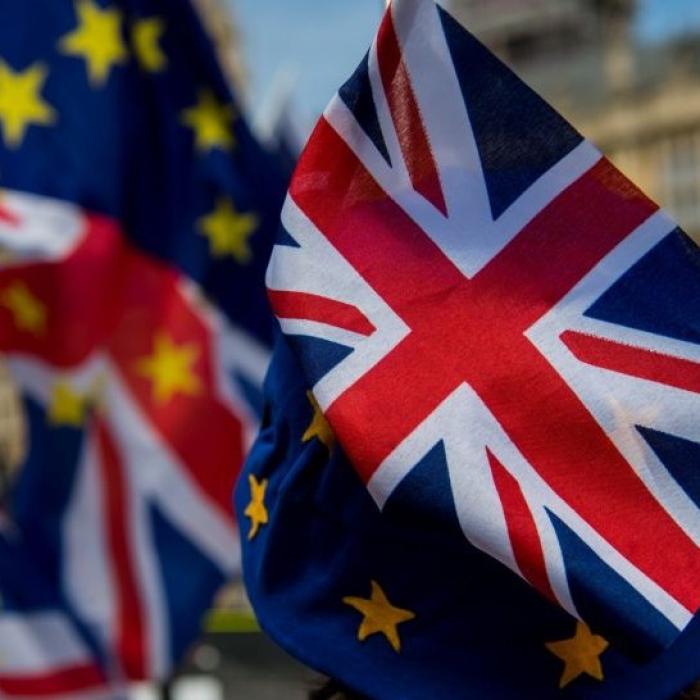 Post-BREXIT. Ce se întâmplă cu EXPORTURILE britanice în UE