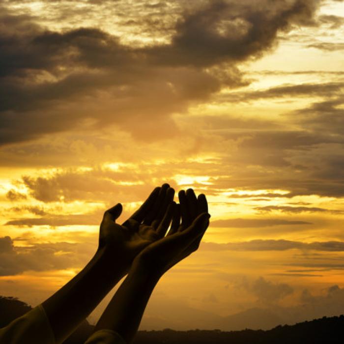 Experții spun ADEVĂRUL: Ce se întâmplă cu OMENIREA până în 2600