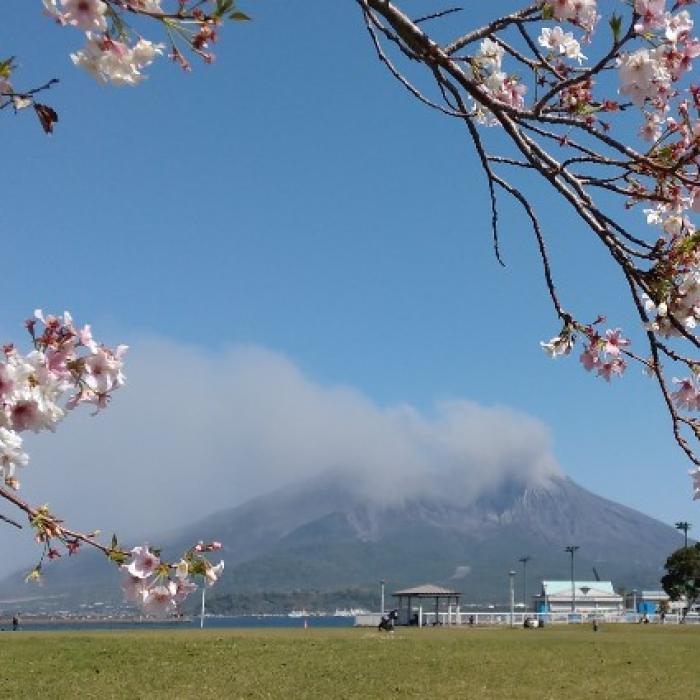 Erupția vulcanului crește ALERTA în Japonia. (FOTO)