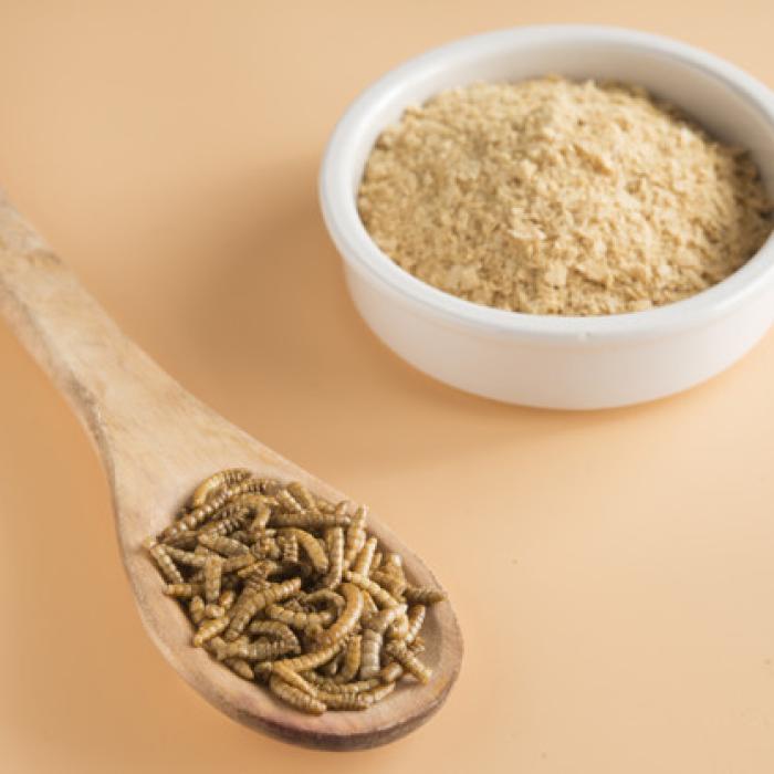 Premieră pentru România! Comisia Europeană a AUTORIZAT