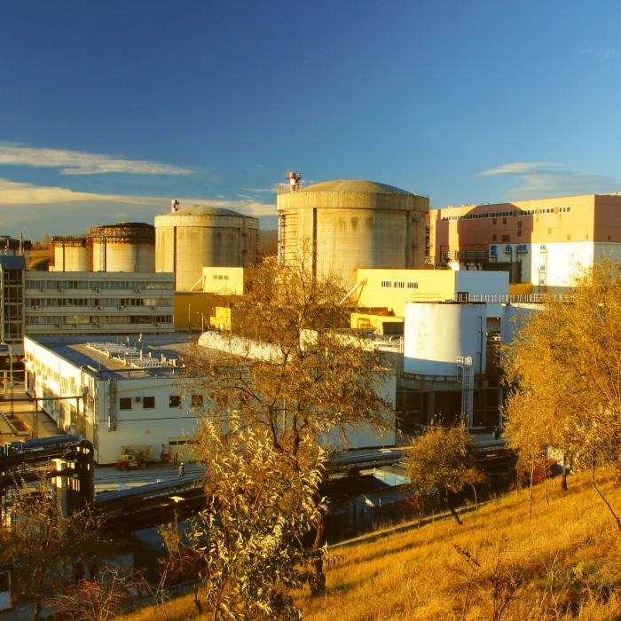 Nuclearelectrica oprește Rectorul 2 al centralei de la Cernavodă