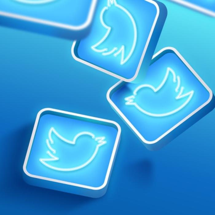 Cum faci BANI pe Twitter. Cea mai SIMPLĂ modalitate