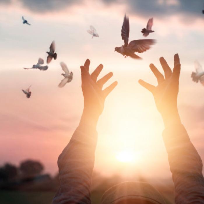 Bilanţ COVID 24 mai. Toată România este în scenariul VERDE