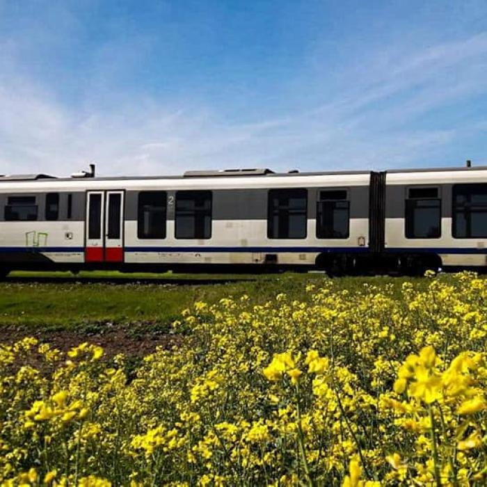 CFR repun în circulație Trenurile Soarelui. De la ce dată și pe ce rute