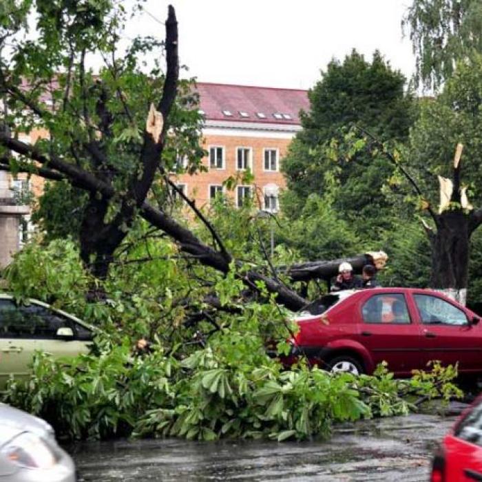 Avertizare Nowcasting COD ROȘU de vijelii în vestul țării
