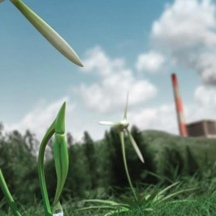 Finanțele pregătesc lansarea de obligaţiuni verzi. Cum va proceda Ministerul