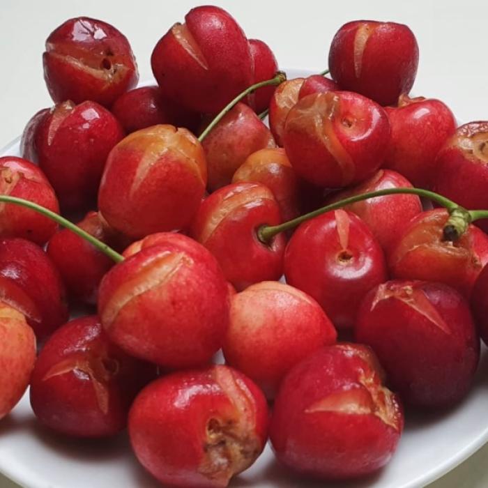 Livezi întregi de cireșe, COMPROMISE din cauza ploilor torențiale