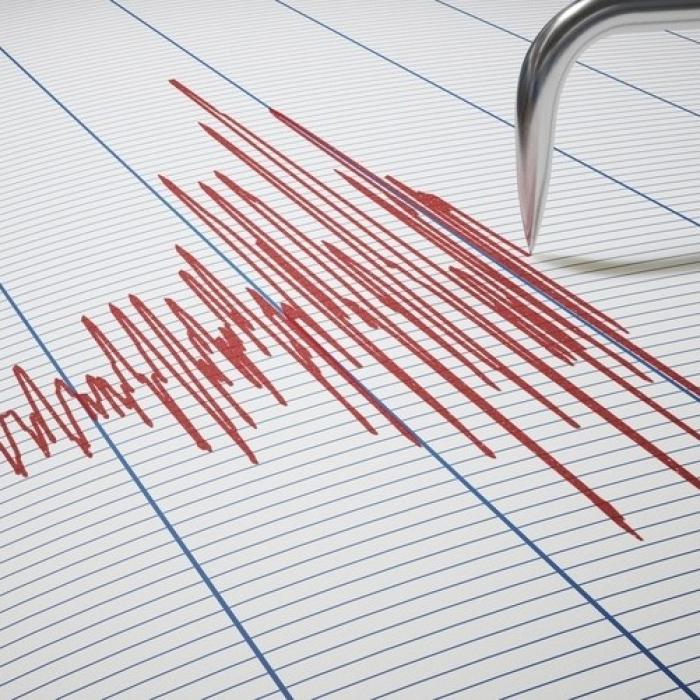 CUTREMUR cu magnitudinea de 4,7. Află UNDE