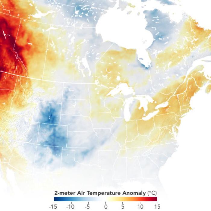 Canada. Aproape 500 de decese subite din cauza caniculei
