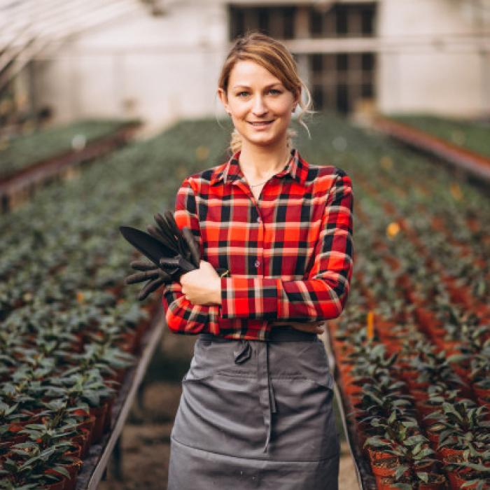 Fonduri nerambursabile pentru fermierii din diaspora. Termenul limită