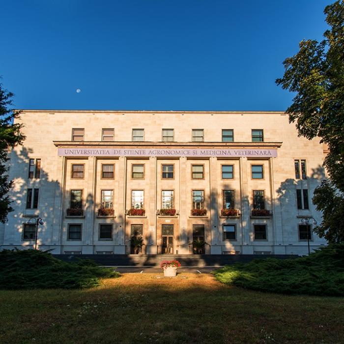 Burse de 720 de euro pentru studenții din USAMV. Cum se pot obține