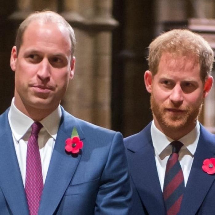 Palatul Buckingham a cenzurat documentarul despre Harry și William