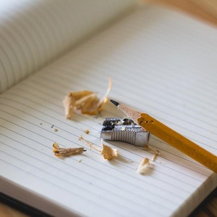 Raluca Turcan, indignată: Nu există nici măcar o evidenţă 