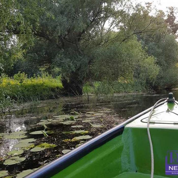 Delta Dunării. Ce trebuie să știe turiștii înainte de a se PLIMBA CU BARCA