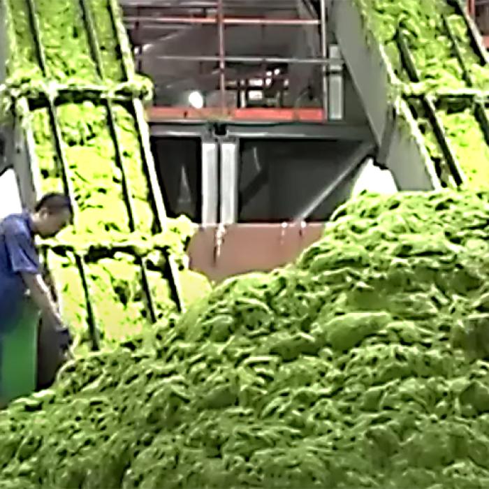 China. În portul Qingdao așa ceva nu a mai fost NICIODATĂ VIDEO